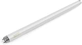 Somesino UVA 340 15W T8 Fluorescent Aging Lamp 450mm Simulate Noon Sunlight view 2