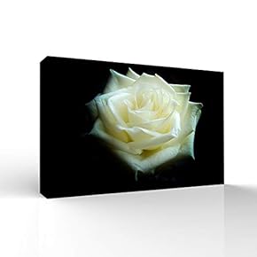 Beautiful Flowers Pictures Home Wall for Bedroom Living...