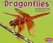 Dragonflies (Bugs, Bigs, Bugs,)