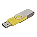 RAOYI 10PCS 2GB USB 2.0 Flash Drive Yellow -Bulk Pack-Pen Drive Thumb Drive Metal Memory Stick Swivel Design