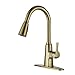 Kitchen Faucet, faucets for Kitchen Sinks Stainless Steel Kitchen Faucet Gold Kitchen Faucet with Pull Down Sprayer Commercial Modern Single Handle Farmhouse rv Camper Sink