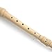 Eastar ERS-21GN ABS German Descant Soprano Recorder C Key With Fingering Chart Cleaning Rod and Bag,Natural