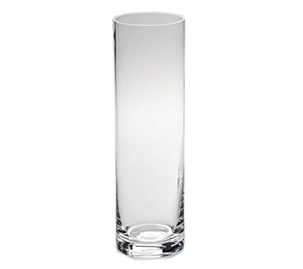 Toujours Sevres Glass Claudie Cylindrical Glass Vase Amazon Co
