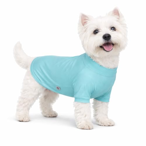 LoveLongLong Spring Summer Cooling Dog T-Shirt with UV Protection and Moisture-Wicking Fabric Blank Color Turquoise XS