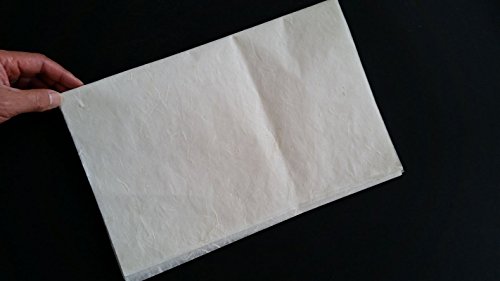 10 Sheets of Dragon Clouds Thin Mulberry Paper #2B 13.5"x26" 23gsm