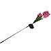 Samgo Outdoor Waterproof Solar Flower Battery Light Hyacinth for Garden, Balcony, Lawn Illumination (Pink)