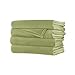 Sunbeam Plush Heated King Blanket with 20 Heat Settings, Dual Digital Controllers, Auto-Off - Ivy Green