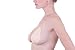 Mystiqueshapes  Women Reveal Cleavage Galore Silicone Nu Bra Cups Breast Enhancers (C, Light Weight Nude)