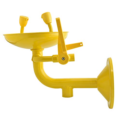 SEAAN Emergency Eyewash Station Wall Mounted Eye Face Washer Shower Stainless Steel Bowl Double Mouth Push-Handle Control Built-in Filter ABS Anti-Corrosion Coating