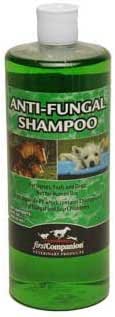 first companion antifungal shampoo