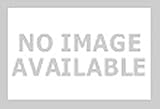 Bachmann Industries Large 