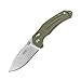 Firebird Folding Knife F7611 by Ganzo Pocket Folding Hunting Knife G-10 Handle SS Blade (Green)