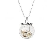bestwishes2u Transparent Glass Bottle Necklace Ball Chain Silver Tone White Dried Flower Pendant