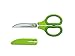 Nakabayashi Co., Ltd. SAKUtto Cut HIKIGIRI,SCISSORS,ANTI-GLUE (Green)