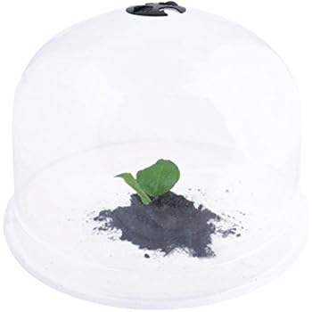 Amazon.com : Large Garden Cloche Plant Cover (5 Pack