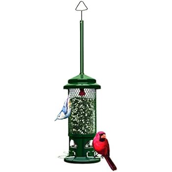 Amazon Com Squirrel Buster Standard Squirrel Proof Bird Feeder W