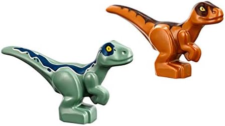 what to give a 11 year old for her birthday