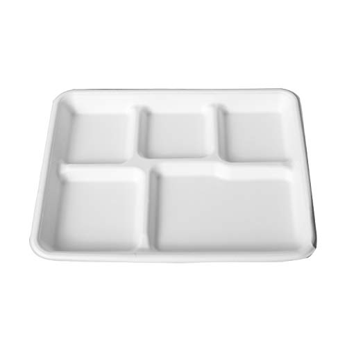 E.F.tableware Disposable Tableware, 100 Compostable Plate 100Pack 5