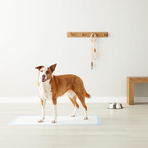 AMAZON BASICS LEAKPROOF DOG AND PUPPY PEE PADS WITH 5-LAYER QUICK-DRY SURFACE FOR POTTY TRAINING, STANDARD ABSORBENCY, GIANT, 27.5 X 44INCH, PACK OF 40, BLUE & WHITE