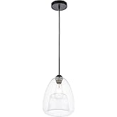Kason 1 light Black and Clear glass pendant