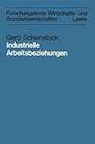 Image de Industrielle Arbeitsbeziehungen: Eine vergleichende Analyse theoretischer Konzepte in der „industrial-relations“-Forschung (Forschungstexte Wirtsc