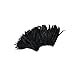 ZUCKER Feather (TM) - Rooster Coque Tails 1YD - Black