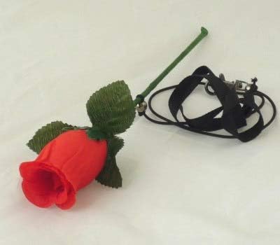 Rose Disappearing/Flower Vanish,Bare Hand Vanishing - Magic Trick Flower Magic Stage Trick