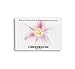 Blotting Paper - Professional Papers for Removing Facial Oil and Saving Makeup on Face - 100% All Natural Sheets
