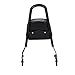 INNOGLOW Motorcycle Black Detachable Solid Steel Sissy Bar and Passenger Backrest for Harley Sportster XL 883 1200 2004-2018