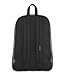 JanSport City View Backpack -15-inch Laptop Pack, Heathered