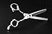 Professional Hair Thinning Scissors - Home Hair Cutting Scissors for Hairdressing, Texturizing Thinning Shears with Razor Edge - Stainless Steel Hair Cutting Scissors - Silver - 6.5inch