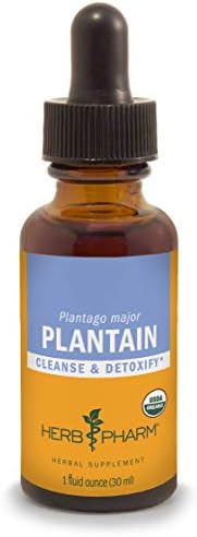 Plantain 8 oz
