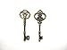 Salome Idea 20PCS Assorted Large Vintage Skeleton Keys (2 Styles) - 3 1/4