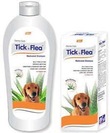 medicated flea and tick shampoo