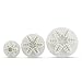 Ambari's Snowflake Cookie Cutter Set - Cake Decorating Mold Fondant Plunger Tool, Christmas Cutters Stamp Shaped as Snowflakes, Holiday Cookie Molds Stamps, Frozen Cake Candy & Cupcake Decorations