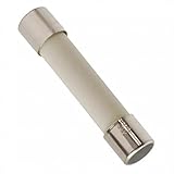 Moonlight 100Pcs 6x30mm Ceramic Fuse 5A 5Amp