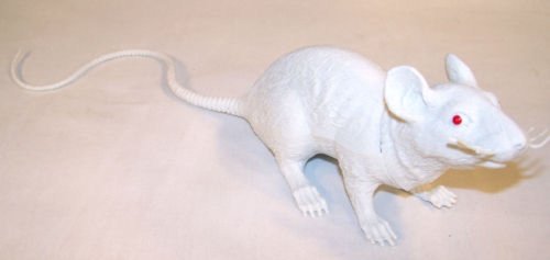 large rubber rat toy