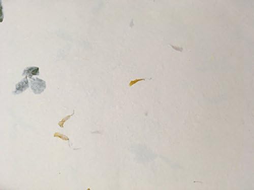 Merakii Handmade Coloured Paper with Elasticity and Fiber Tensile Strength for Art and Craft (Off White, A4)