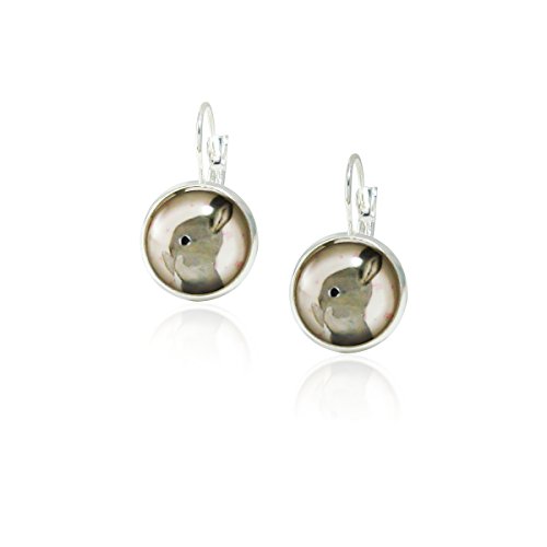 Rabbit Vintage Antique Retro Style, Glass Round Drop Earrings with Leverback Closure Jewelry