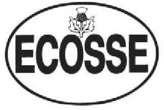 stickyrico1 Scottish Gifts - Scottish Car Sticker - ECOSSE - Thistle - UK Gifts
