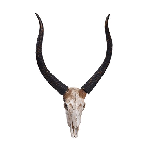 Welland antelope skull wall hanging sculptures