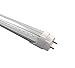 Fulight Not-a-Plug-and-Play (Type B) & Clear T8 LED Tube Light - 2FT 24-Inch 10W (18W Equivalent), Daylight 6000K, F17T8, F18T8, F20T10, F20T12/CW, Double-End Powered, Clear Cover, 85-265VAC