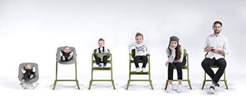 cybex global high chair