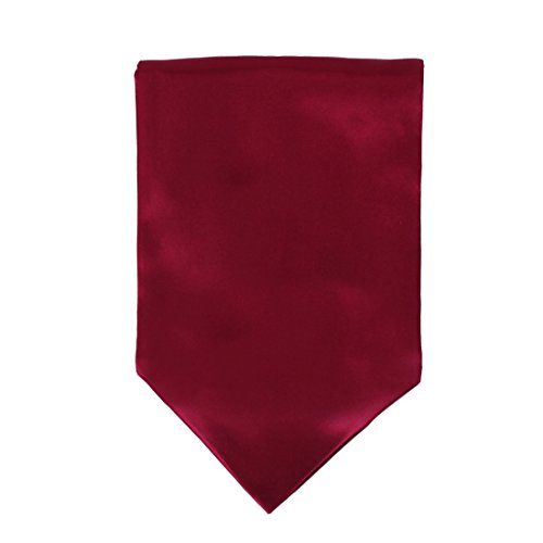 Burgundy Solid Mens Ascot Romance Presents Fashion Cravat for Wedding Dress Dan Smith DRA7E01A Burgundy