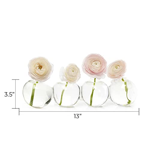 Caterpillar, Large Clear Glass Bud Vase 13" Long 4" Wide 3.5” Tall for