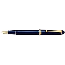 Amazon.com : Pilot Custom 74 M nib : Office Products 