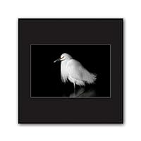 Framed Canvas Wall Art A Bird Standing on Canvas Prints Home Artwork Decoration for Living Room,Bedroom - 16x16 inches