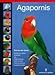 Agapornis / Lovebird (Pajaros / Birds) (Spanish Edition) by