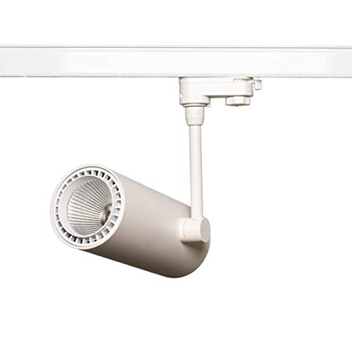 Silver Electronics 30 W LED 30 W Trifasico Projector Temperature 4000 K (White Light) 38º Energy Efficiency: A+ Colour