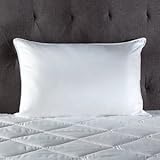 Down Lite ® Primaloft ® Standard Pillow